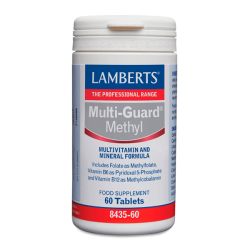 Multi-guard methyl embalagem de 60 tablets na categoria complexos multivitaminico por Lamberts